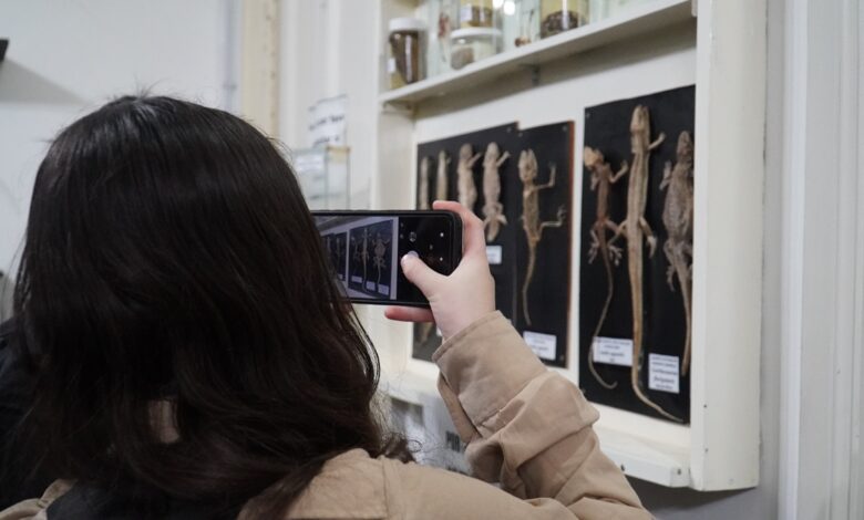 PROPUESTA INTERACTIVA EN EL MUSEO DE CS. NATURALES